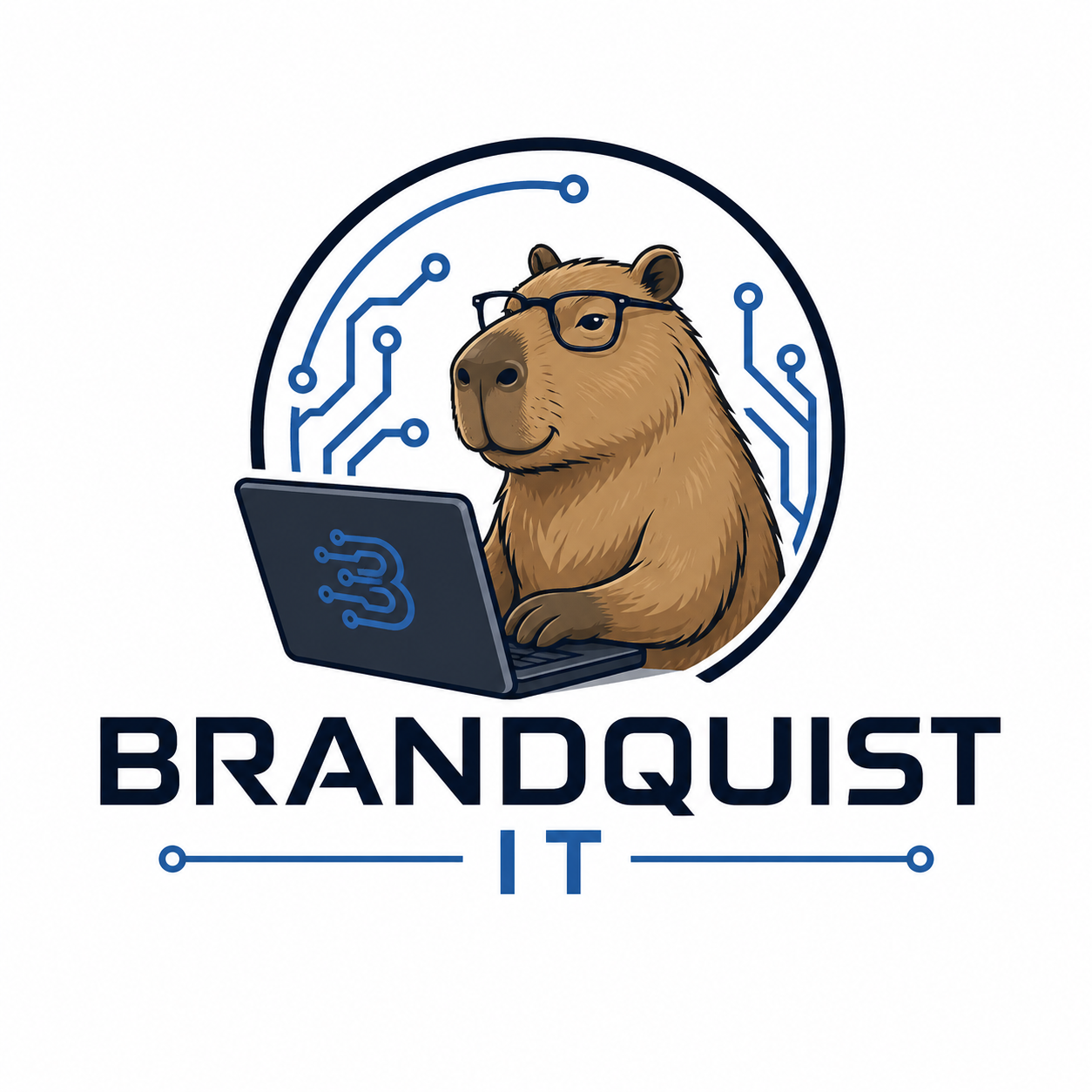 Brandquist IT Logo